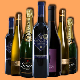 安卓ddos攻击工具